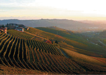 Best in Glass:  “I once visited Giuseppe Rinaldi’s vineyard in Italy and had some of the most mind-bending wine ever.”